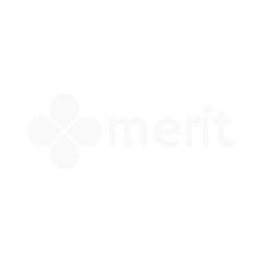 Merit Logo